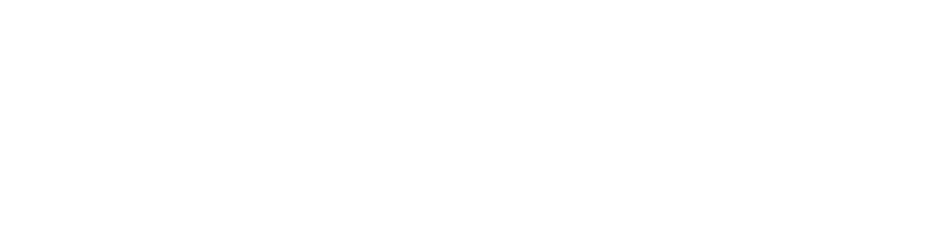 VICESCOOP